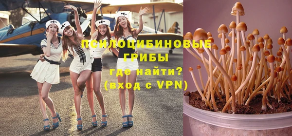 не бодяженный Елабуга