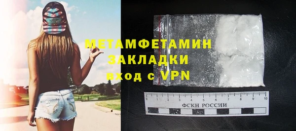 дмт Тайга