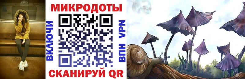 ОМГ ОМГ онион  Дербент  Псилоцибиновые грибы Cubensis 